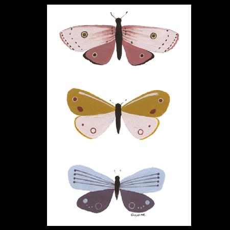 Picture for category butterflies